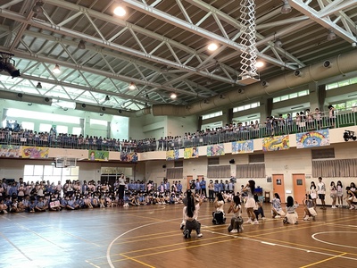 31圖片